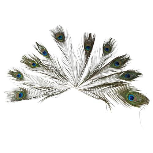 KIT 10 PENAS ARTIFICIAIS DE PAVÃO PARA ARTESANATO DECORAÇÃO ARRANJOS VERDE 25 A 30 CM
