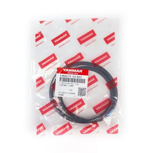 ANEL DE VEDAÇÃO C/ ØEXTERNO 212MM ESPESSURA DO ANEL 6,5MM P/ MOTOR 6EY18ALW DIESEL DA ND ARISTEIA