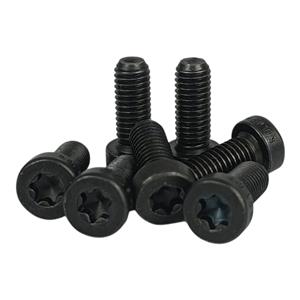 PARAFUSO M8 x 20 TORX T40 – DIN 7984 – CLASSE 10.9 (MSV / SUECO)